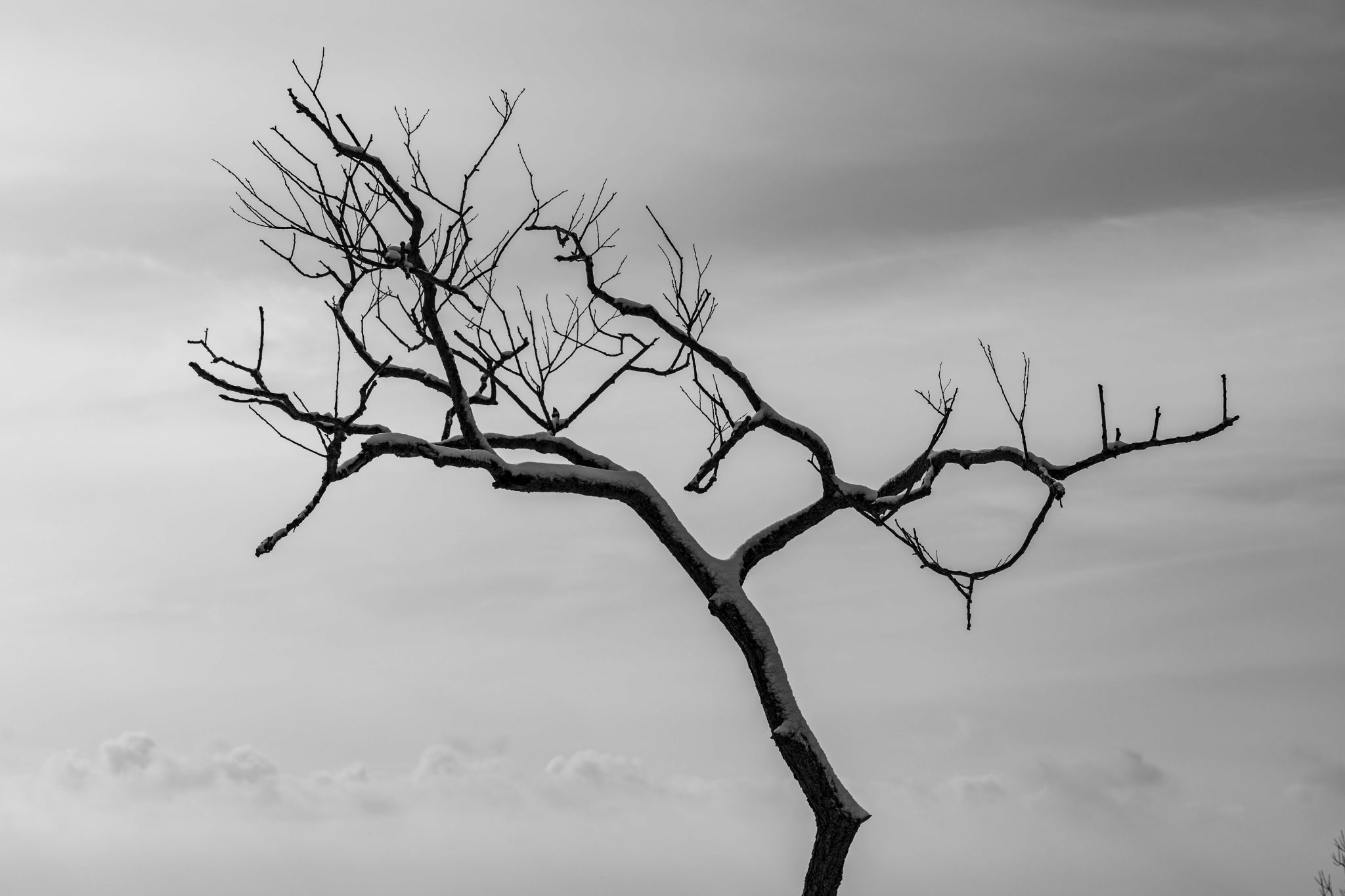 IMG 3011 Enhanced NR copy