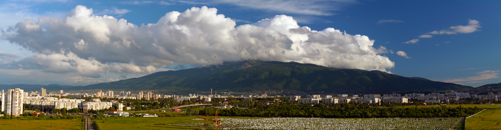 Sofia vitosha